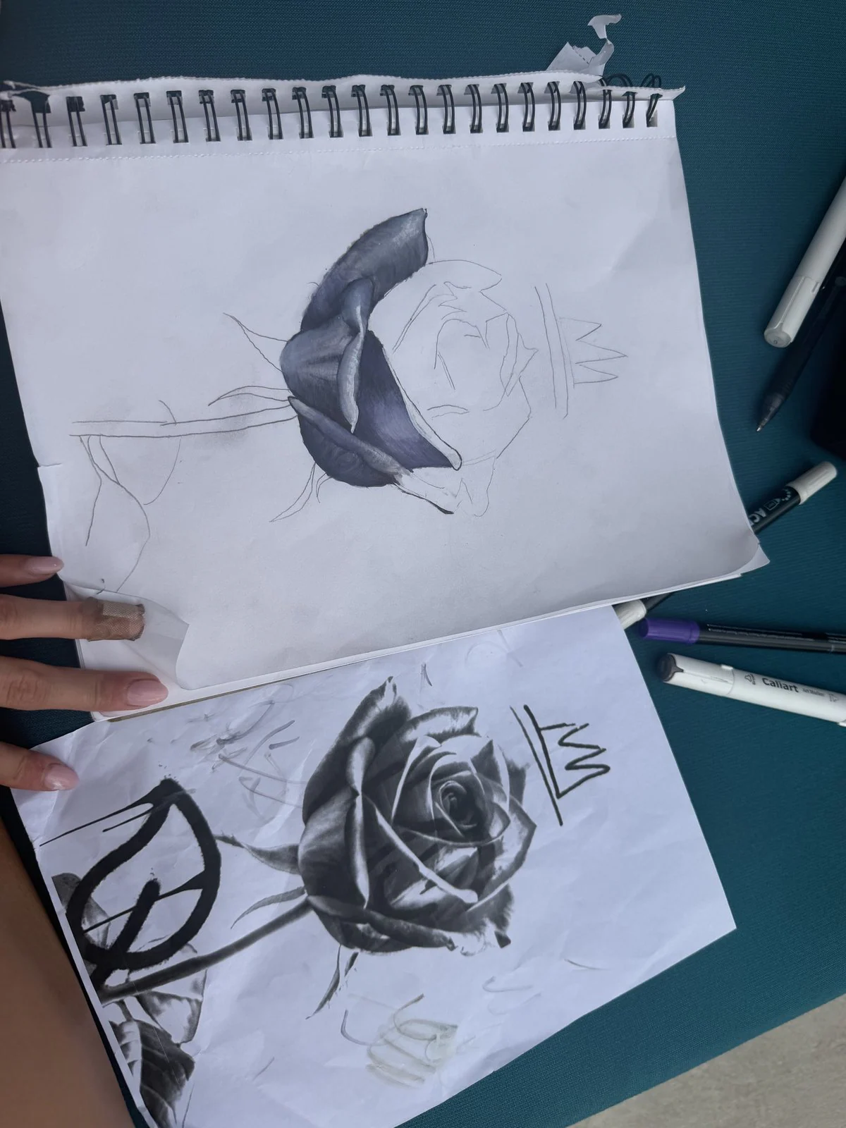 Rose studies from the sketchbook